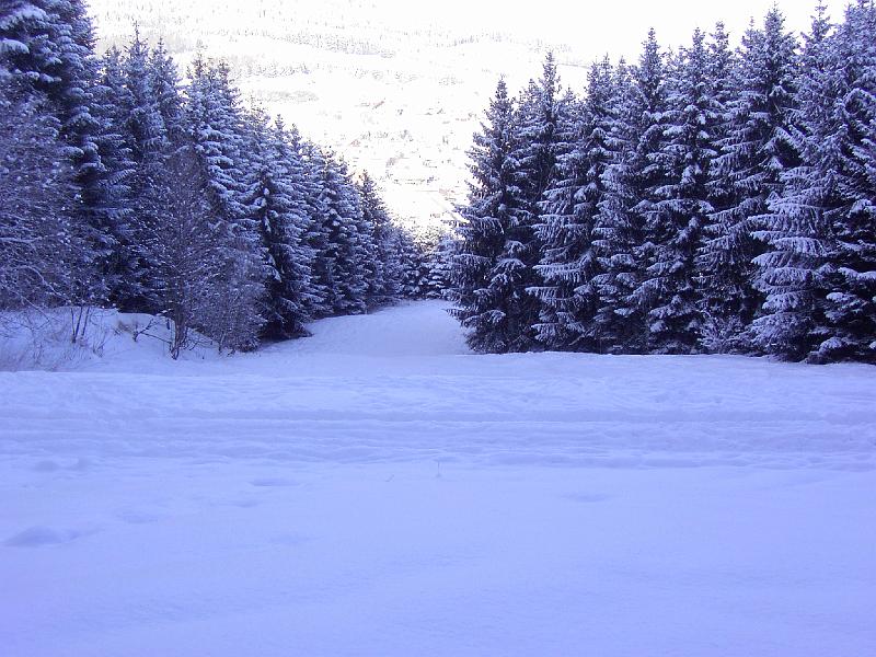 Skilift 2006 (02).JPG